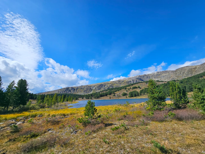 Горный Алтай-2024