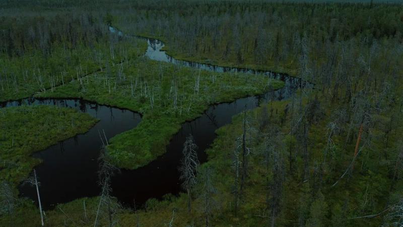 Северная Карелия – 2021